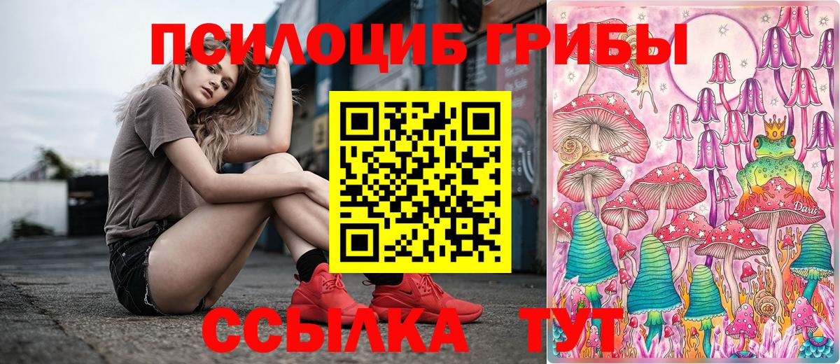Сатка  как найти   Галлюциногенные грибы Psilocybe  Вход с VPN  Псилоцибиновые грибы Psilocybe 