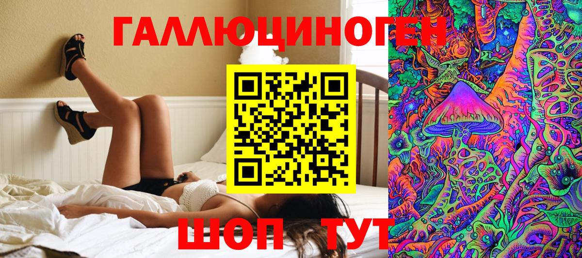 Псилоцибиновые грибы GOLDEN TEACHER Сатка
